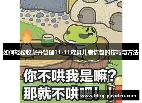 如何轻松收藏并管理11-11森贝儿表情包的技巧与方法