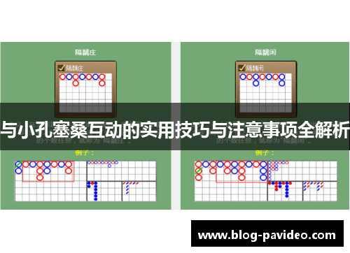 与小孔塞桑互动的实用技巧与注意事项全解析