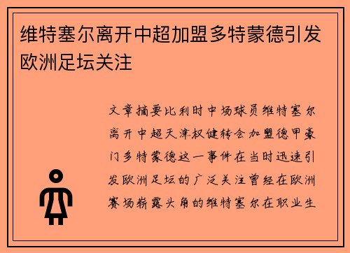 维特塞尔离开中超加盟多特蒙德引发欧洲足坛关注