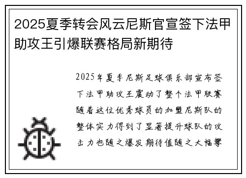2025夏季转会风云尼斯官宣签下法甲助攻王引爆联赛格局新期待